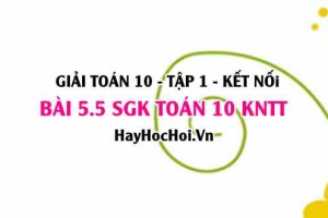 Bài 5.5 SGK Toán 10 tập 1 Kết nối tri thức